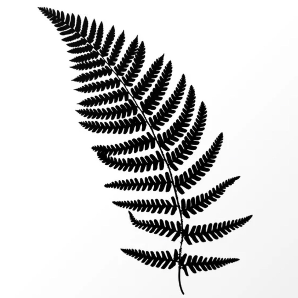 Meet your Posher, Fern